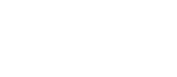 ChinaSafetyValve.com Logo